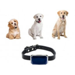 Rastreador GPS mascotas